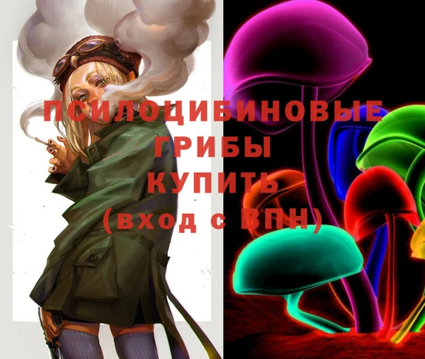 ешки Алексеевка