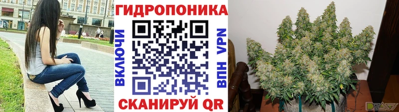 как найти наркотики  Красавино  KRAKEN ссылки  Каннабис VHQ 